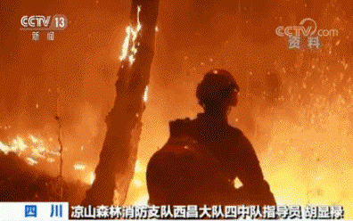 图片5.gif